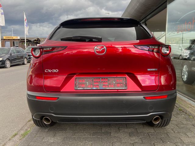 Fahrzeugabbildung Mazda CX-30 Selection , e-SKYAKTIV X*Head-Up*NAVI+RFK