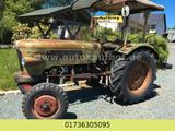 Fendt FW 228, Farmer 2D mit schöner Patina ! - Fendt Schlepper 2