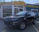 Land Rover Range Rover Evoque Pure 2.0d*1.Hand*Temp*R-Kam* - Land Rover Range Rover Evoque Pure mit Diesel-Antrieb