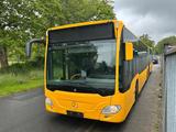 Mercedes-Benz Citaro Gelenk / A23 - Klima - Gelbe Folie - Mercedes-Benz Linienbus Citaro