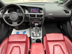 Fahrzeugabbildung Audi A5 Cabrio 3.0 TDI quattro S-Line Keyless Xenon