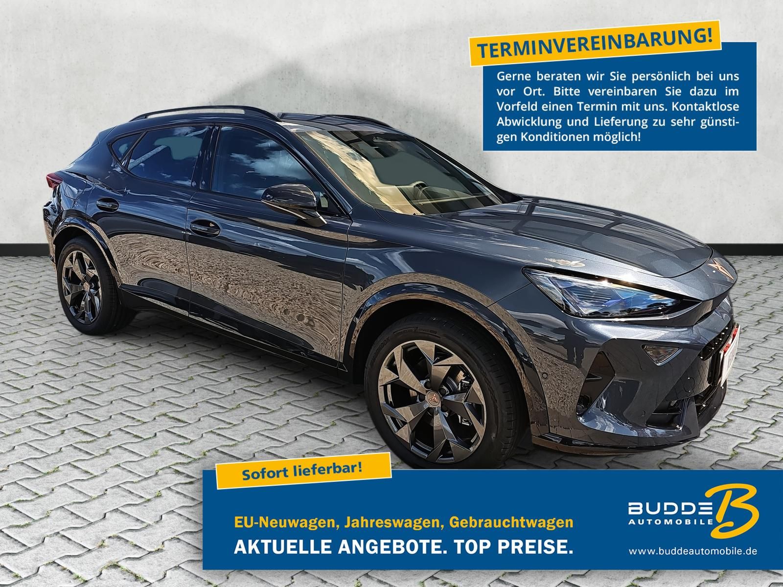 Cupra Formentor 1.5 eHybrid 5J.Gar. EdgePaket AHKschw.
