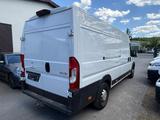 Peugeot Boxer Kasten L4H2 Premium 1.Hd/Hu/Insp Neu - Peugeot mit Diesel-Antrieb: Schaltgetriebe