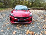 Kia Stinger GT, Ambiente, Abgasanl.,Scheckheftgepfl. - Kia Stinger von privat