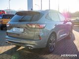 Ford Kuga 1.5 EcoBoost ST-Line X *NAVI*TWA*ACC*FLA*LM - Jahreswagen