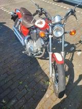 Yamaha Virago 535 ccm Tüv Neu - YAMAHA 1997 VIRAGO 535