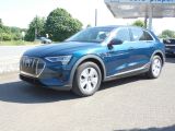 Audi e-tron 50 quattro Assistenz-Paket Tour Klima