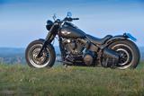 Harley-Davidson FLSTFB FATBOY SPECIAL - HARLEY-DAVIDSON FAT