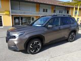 Subaru Forester 2,0ie Exclusive Lineartronic - Subaru Forester Tageszulassungen