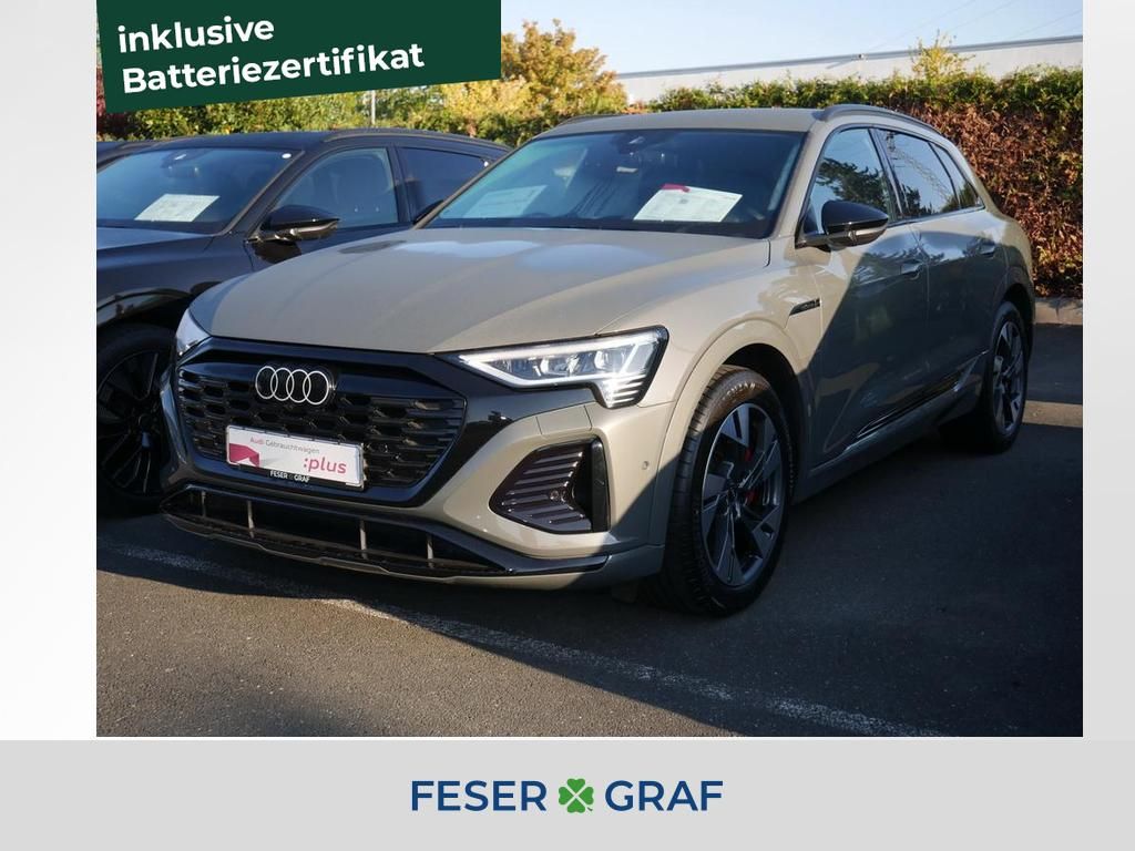 Audi Q8 e-tron 55 qu. S line Ext. Matrix Navi RüKa 20