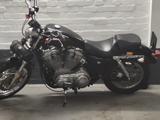 Harley-Davidson Sportster 883 - HARLEY-DAVIDSON 2005 883 SPORTSTER