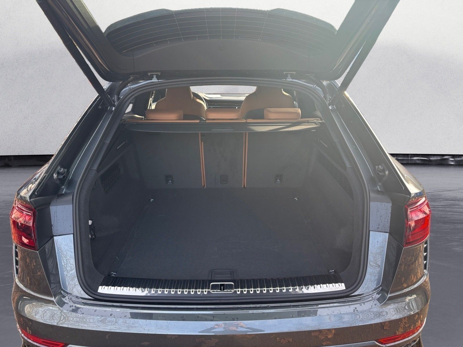 Audi RSQ8 - Bild 10