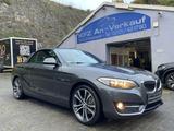 BMW 220i Cabrio Sport Line Autom Leder Navi 18" - BMW 220 in Wuppertal