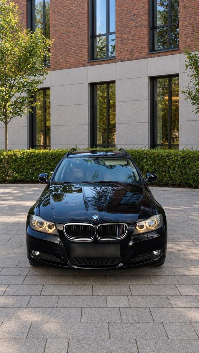 BMW 318 2010 — interior