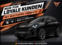 Cupra Terramar - Vorschau Bild 1