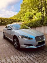 Jaguar XF 3.0 L V6 Diesel - PREMIUM LUXURY EDITION  - Jaguar XF: Luxury