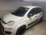 Fiat New Panda 1.2 8V EASY EASY - weiße Fiat New Panda
