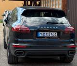 Porsche Cayenne Diesel Platinum Edition Platinum Edition - Porsche Gebrauchtwagen in Freiburg