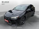 Lexus NX Hybrid Premium+ 4WD - Lexus aus 2024: Nx