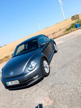 Volkswagen Beetle Käfer Design - Volkswagen: Limousine, Kaefer