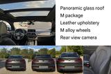 BMW X4 M40 M40d - - BMW X4 M40 aus 2019