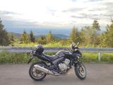 Honda CBF600 SA PC43 - Offers matching your search criteria