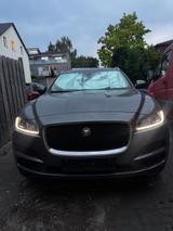 Jaguar F-Pace 20d AWD Pure Automatik Pure - Jaguar F-Pace in Hannover