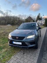 Cupra Ateca 2.0 TSI 221kW 4Drive DSG - - Cupra Ateca von privat