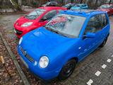 Volkswagen Vw Lupo 1.4 FESTPREIS - Volkswagen Lupo in Hamburg