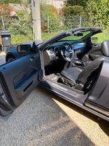 Ford Mustang Cabrio V6 Pony - Ford Mustang aus 2006: V6