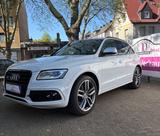 Audi SQ5 3.0 TDI quattro/Top Zustand/Pano/ACC/AHK - weiße Audi SQ5