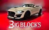 Ford Mustang Cabrio GT 5,0 Ltr. V8 450PS Shelby-Ki... - Ford: Roadster, K