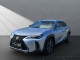 Lexus UX 250h F Sport Design - gebrauchte Lexus UX aus dem Jahr 2024