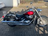 Suzuki VL800 intruder Volusia - Offers matching your search criteria