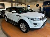 Land Rover Range Rover Evoque MERIDIAN/LEDER/NAVI/KAMERA/SH - gebrauchte Land Rover Range Rover Evoque aus dem Jahr 2014