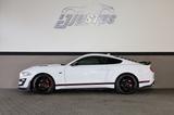 Ford Mustang 2.3 EcoBoost/SHZ/SBL/SPUR/TOTW/RFK/R19 - Ford Mustang: Ecoboost