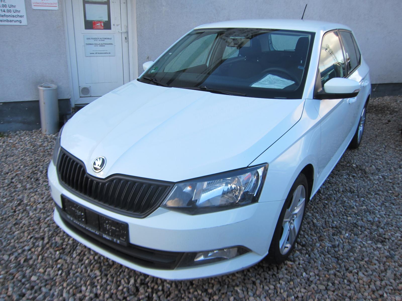 Skoda Fabia 1.4 TDI Klima.DAB Radio.4 Türen PDC