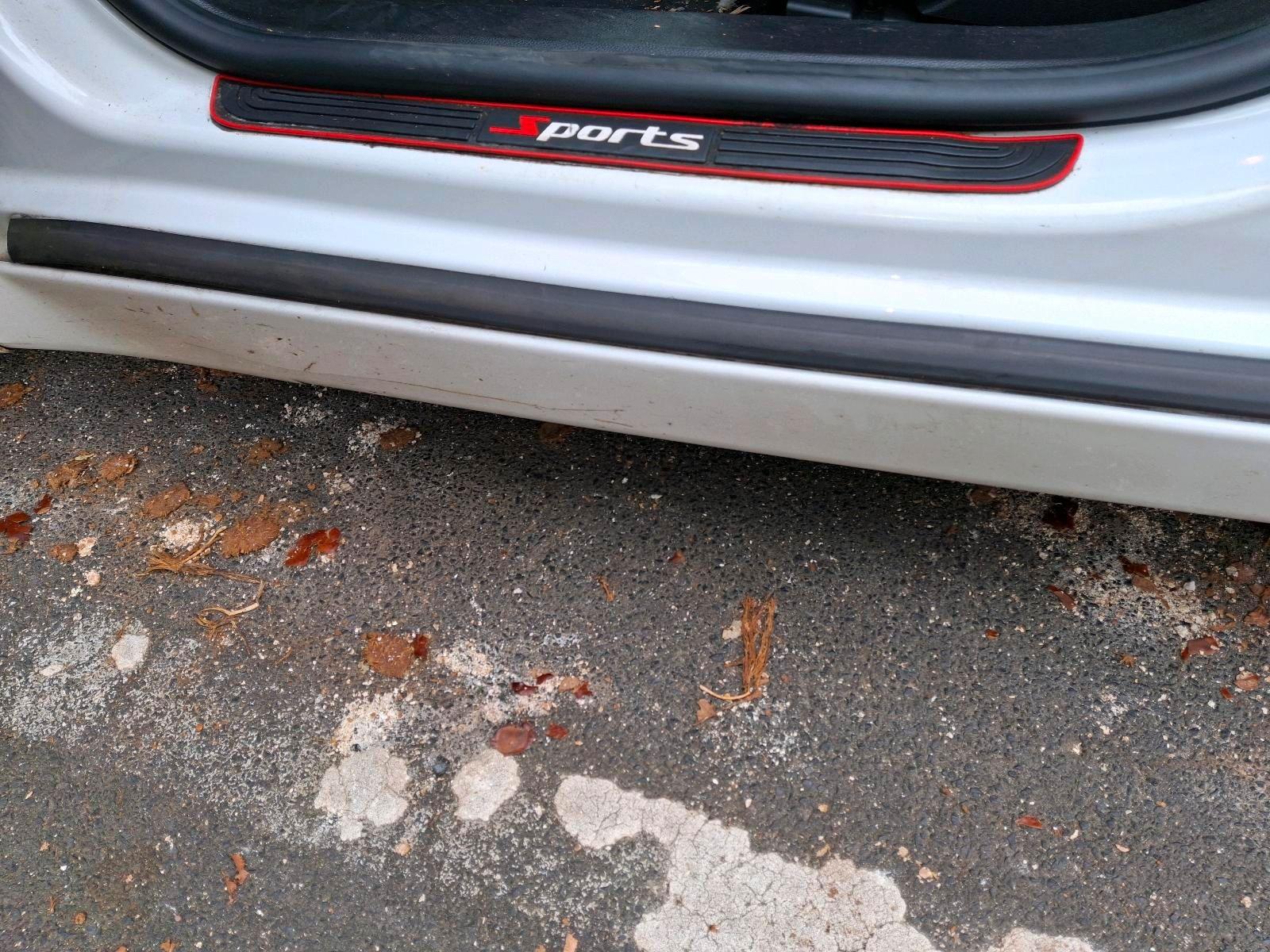 Opel Insignia 2014 — photo 13