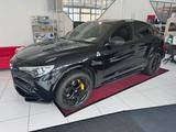 Alfa Romeo Stelvio Quadrifoglio Q4 - Alfa Romeo Stelvio in Bonn