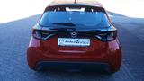 Mazda 2 Hybrid 1.5L VVT-i 116 PS AT AGILE - gebrauchte Mazda 2 Hybrid aus dem Jahr 2022