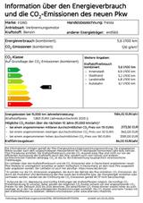 Ford Fiesta 1.0 EcoBoost Hybrid Aut. ST-LINE X 18Zoll - Ford Fiesta: ST X