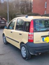 Fiat Panda - Fiat Panda in Mainz