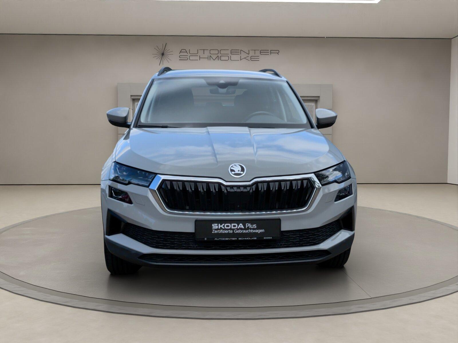 Skoda Karoq 2.0 TDI DSG Style*AHK*Licht&Sicht*Navi*SHZ