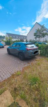 Lexus UX 250 h Executive Line  - Lexus UX Gebrauchtwagen
