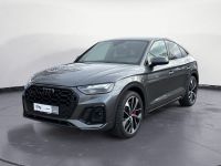 Audi SQ5 - Vorschau Bild 2