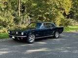 Ford Mustang 66, 302cui, 4V V8 Automatik, TOP - Ford: 302