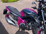 Suzuki Gladius SFV650A  - Angebote