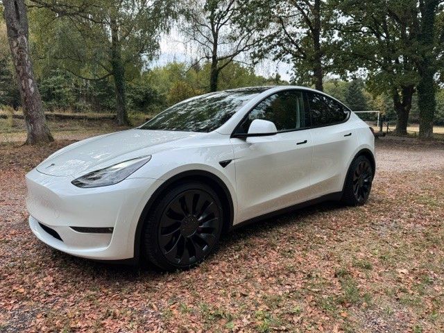 Image of Tesla Model Y