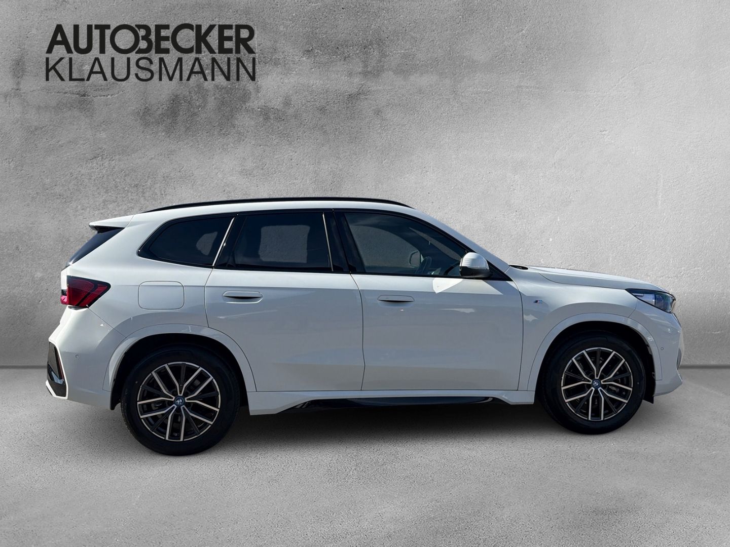 BMW X1 xDrive 30e M SPORT 18''LC PROF HuD ALARM AHK  foto 4