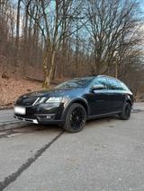 Skoda Octavia Scout 2.0 TSI DSG 4Motion 4x... - Skoda Octavia Scout mit Benzin-Antrieb